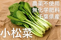 無農薬（農薬不使用）無化学肥料の「小松菜」【1袋】千葉県産　クール便（出荷期間5/20-5/23）