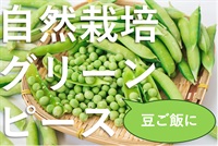 数量限定！農薬ゼロ、肥料ゼロ、自然栽培の「グリーンピース」【300g】愛知県産　滅多にでない、この時期だけの稀少な食材です！クール便（出荷期間5/13-5/16）