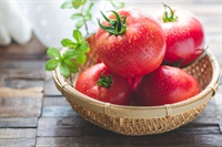 究極の減農薬！無化学肥料「中玉トマト」【200g（5玉程度）】千葉県産　クール便発送（出荷期間6/3-6/6）