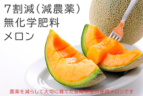  農薬7割減・無化学肥料の「メロン（赤肉）」【1玉】長崎県産 クール便（出荷期間6/16-6/17）