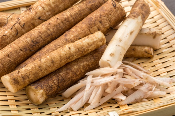 農薬不使用（無農薬）ゴボウ【約200g】無化学肥料、有機JAS認証付き、常温発送可（出荷期間6/17-6/20）