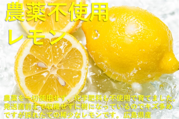 最需要期に収穫される国産の稀少なプレミアレモン！農薬不使用、無化学肥料「レモン」【1kg】広島県産、クール便（出荷期間7/1-7/4）