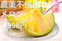 農薬不使用、無化学肥料のメロン【1玉/800g-1キロ程度】徳島県産 農薬を一切使用せずに栽培された稀少なメロンです！クール便（出荷期間7/1-7/4）