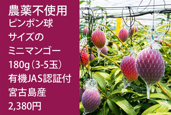 農薬不使用「ピンポンマンゴー」【180ｇ（3-5個）】宮古島産 有機JAS認証　クール便（出荷期間7/15-7/18）