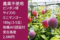 農薬不使用「ピンポンマンゴー」【180ｇ（3-5個）】宮古島産 有機JAS認証　クール便（出荷期間7/15-7/18）
