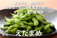 農薬ゼロ、肥料ゼロ、自然栽培の「枝豆（えだまめ）」【1パック】淡路島産 クール便（出荷期間7/29-8/1）