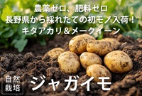 農薬ゼロ、肥料ゼロ、自然栽培の採れたて「ジャガイモ」【1kg】長野県産 常温発送可（出荷期間9/2-9/5）