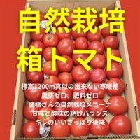 商品一覧ページ