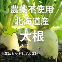 農薬不使用、無化学肥料の「大根」【1本】北海道産　クール便発送（出荷期間9/2-9/5）