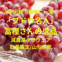 ブドウ名人冨樫さんのデラウェア【2kg/12-16房入り】山形県産、無肥料減農薬（9割減）クール便（出荷期間8/26-8/29）