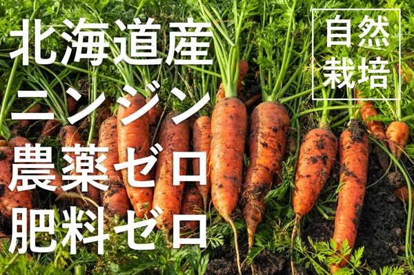 【残り5セット】9/14-16ポイント10倍！農薬ゼロ、肥料ゼロ、木村式自然栽培、北海道産「自然栽培ニンジン」葉無し【1kg】クール便（出荷期間9/16-9/19）