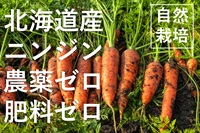 【残り7セット】9/14-16ポイント10倍！農薬ゼロ、肥料ゼロ、木村式自然栽培、北海道産「自然栽培ニンジン」葉無し【1kg】クール便（出荷期間9/16-9/19）