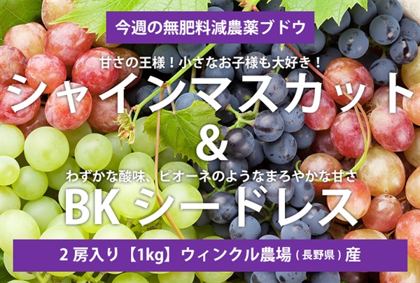 ブドウ詰め合わせ無肥料減農薬ブドウ「シャインマスカット＆BKシードレス」【1kg/2房】長野県産/ウィンクル農場/クール便（出荷期間9/23-9/26）