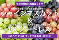 ブドウ詰め合わせ無肥料減農薬ブドウ「シャインマスカット＆BKシードレス」【1kg/2房】長野県産/ウィンクル農場/クール便（出荷期間9/23-9/26）
