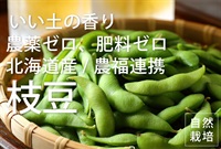 農薬ゼロ、肥料ゼロ、北海道産自然栽培の「枝豆」【200g】いい土の香りがする北海道の枝豆、農福連携生産者/クール便（出荷期間9/23-9/26）
