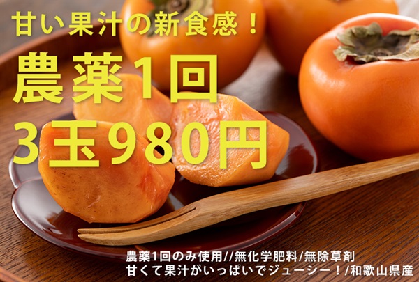 【残り1セット】農薬1回だけ使用/無化学肥料/無除草剤の自然派「柿」【3玉】和歌山県産、クール便（出荷期間10/14-10/17）