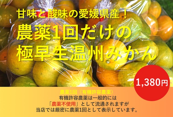 【残り1セット】【農薬1回だけ使用（有機許容農薬のみ使用）】甘さと絶妙な酸味、極早生温州みかん【1kg/10玉程度】愛媛県産 無化学肥料 クール便（出荷期間10/14-10/17）