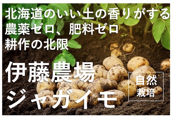 いい土の香り、耕作の北限、北海道伊藤農場産、農薬ゼロ、肥料ゼロ、自然栽培の「ジャガイモ」【1kg】常温発送可（出荷期間11/11-11/14）