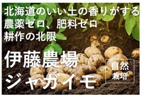 いい土の香り、耕作の北限、北海道伊藤農場産、農薬ゼロ、肥料ゼロ、自然栽培の「ジャガイモ」【1kg】常温発送可（出荷期間11/11-11/14）