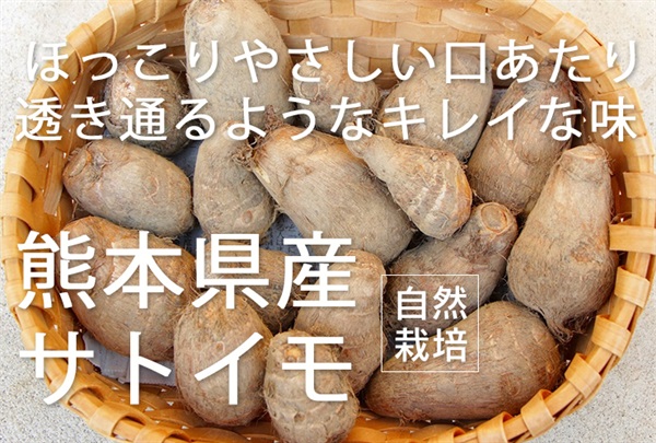 農薬0ゼロ!肥料0ゼロ! 自然栽培の里芋（サトイモ）【良品1kg】～熊本県産　※常温発送（出荷期間11/11-11/14）