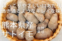農薬0ゼロ!肥料0ゼロ! 自然栽培の里芋（サトイモ）【良品1kg】～熊本県産　※常温発送（出荷期間11/11-11/14）