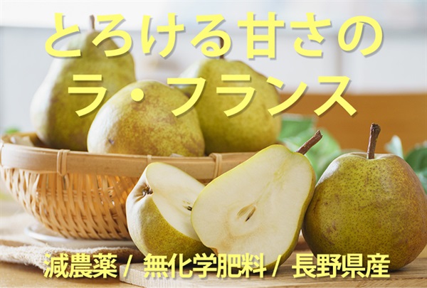 とろける甘さのラ・フランス【2玉/700g程度】減農薬/無化学肥料/長野県産 クール便発送（1/18-11/21）