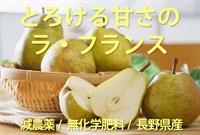 とろける甘さのラ・フランス【2玉/700g程度】減農薬/無化学肥料/長野県産 クール便発送（1/18-11/21）