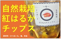 自然栽培のさつまいも「紅はるかチップス（塩）」【50g】(賞味期限2026.01.31)