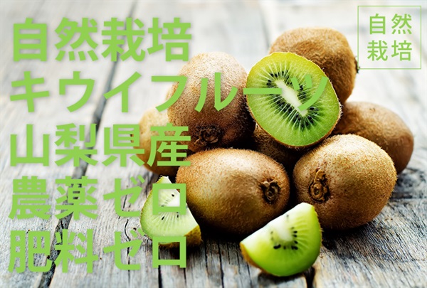 【残り6セット】農薬ゼロ、肥料ゼロ、自然栽培のキウイ【300g】収穫後の化学処理一切無し/山梨県産（出荷期間12/23-12/26）