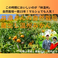【今季最終!】農薬ゼロ、肥料ゼロ、除草剤ゼロ、自然栽培「蔵出し温州ミカン」【約1kg】和歌山県産　常温発送可（出荷期間3/10-3/13）