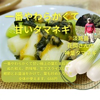 春の香り！自然栽培のサラダ玉ねぎ(葉玉ねぎ)【2玉で1パック/葉付き500g目安】淡路島産　常温発送可（出荷期間2/17-2/20）