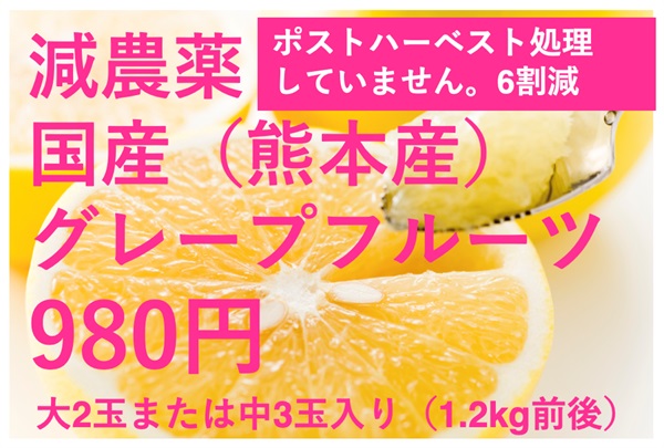 減農薬、国産（熊本県産）グレープフルーツ【大2玉-中3玉入り（約1.2kg】常温発送可（出荷期間3/2-3/6）