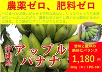 農薬ゼロ、肥料ゼロ、沖縄県産「アップルバナナ」【500g（1房の半分程度カット約5-6本）】沖縄の太陽と大地と海の恵みのバナナ/常温発送可（出荷期間3/2-3/6）
