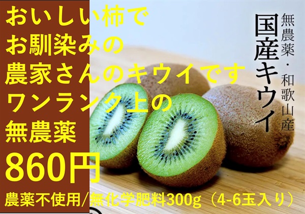 農薬不使用/無化学肥料、「ワンランク上の無農薬」な国産キウイ（和歌山県産）【300g（約4-6玉入り）常温発送可（出荷期間3/2-3/6）