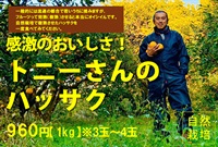 【今季最終!】農薬0ゼロ、肥料0ゼロ、トニーさんのハッサク【約1kg（3〜4玉）】房の一粒一粒までみなぎるおいしさ！常温発送（出荷期間3/10-3/13）