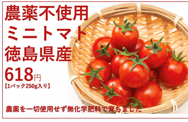 農薬不使用、無化学肥料の「ミニトマト」【1パック約250g】徳島県産　クール便（出荷期間3/24-3/27）