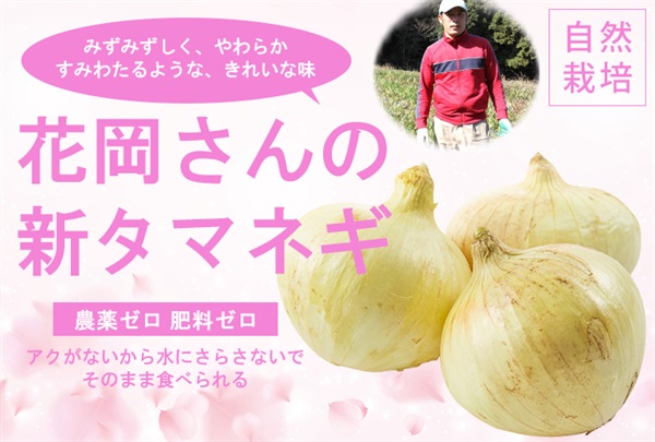農薬ゼロ、肥料ゼロ、花岡さんの自然栽培「新タマネギ」【約1kg】みずみずしく柔らか、透き通るきれいな味、淡路島産/クール便（出荷期間3/24-3/27）