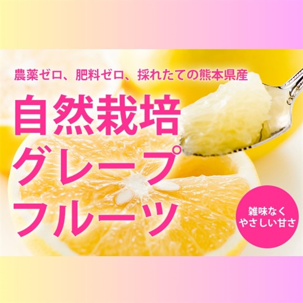 農薬ゼロ、肥料ゼロ、稀少な国産の自然栽培グレープフルーツ【約2kg】熊本県産/クール便 (出荷期間6/30-7/3)