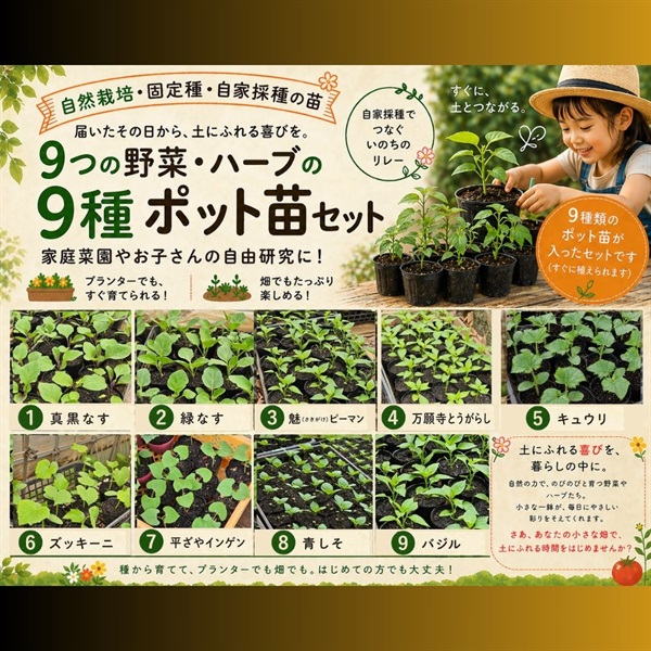 送料無料、固定種自家採種、自然栽培のポット苗、色々な野菜が楽しめる「9つの野菜・ハーブの苗」9種セット/5月8日以降発送（発送日お任せ）/専用出荷.同梱不可/対象外地域⇒北海道.九州.中四国.沖縄