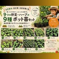 送料無料、固定種自家採種、自然栽培のポット苗、色々な野菜が楽しめる「9つの野菜・ハーブの苗」9種セット/5月8日以降発送（発送日お任せ）/専用出荷.同梱不可/対象外地域⇒北海道.九州.中四国.沖縄
