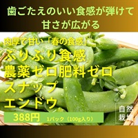 歯ごたえのいい食感が弾けて、甘さが広がる！農薬ゼロ、肥料ゼロ、明石さんの自然栽培のスナップエンドウ【100g】埼玉県産/クール便（出荷期間5/5-5/8）