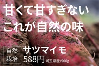 農薬0ゼロ！肥料0ゼロ！自然栽培サツマイモ【約500g】甘くて甘すぎず！飽きのこない味！埼玉県産　常温発送可（出荷期間5/5-5/8）