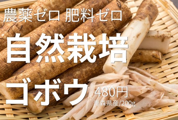 農薬0ゼロ!肥料0ゼロ!自然栽培の「ゴボウ」【200g】～青森県産 ※常温発送可（出荷期間5/5-5/8）