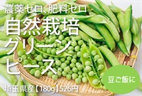 農薬ゼロ、肥料ゼロ、自然栽培のグリーンピース【180g】埼玉県産/クール便（出荷期間6/2-6/5）