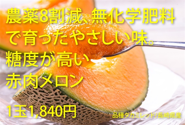 農薬8割減、無化学肥料の赤肉メロン【1玉】長崎県産/糖度高のタカミレッド/クール便（出荷期間6/2-6/5）