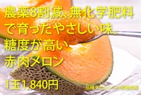 農薬8割減、無化学肥料の赤肉メロン【1玉】長崎県産/糖度高のタカミレッド/クール便（出荷期間6/2-6/5）