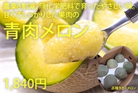 農薬8割減、無化学肥料の青肉メロン【1玉】長崎県産 上品な甘さとしっかりした果肉/クール便（出荷期間6/9-6/12）