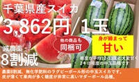 減農薬/無化学肥料のスイカ【1玉】果肉しっかりで糖度が高い！千葉県産のマダーボール品種/クール便（出荷期間6/16-6/19）