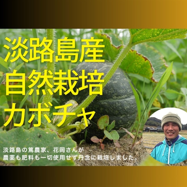 初もの、ホクホク、農薬ゼロ、肥料ゼロ、花岡さんの自然栽培「カボチャ」【約800g-1.2kg】淡路島産  ※常温発送可（出荷期間6/30-7/3）