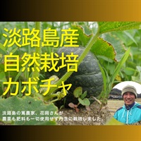 初もの、ホクホク、農薬ゼロ、肥料ゼロ、花岡さんの自然栽培「カボチャ」【約800g-1.2kg】淡路島産  ※常温発送可（出荷期間6/30-7/3）